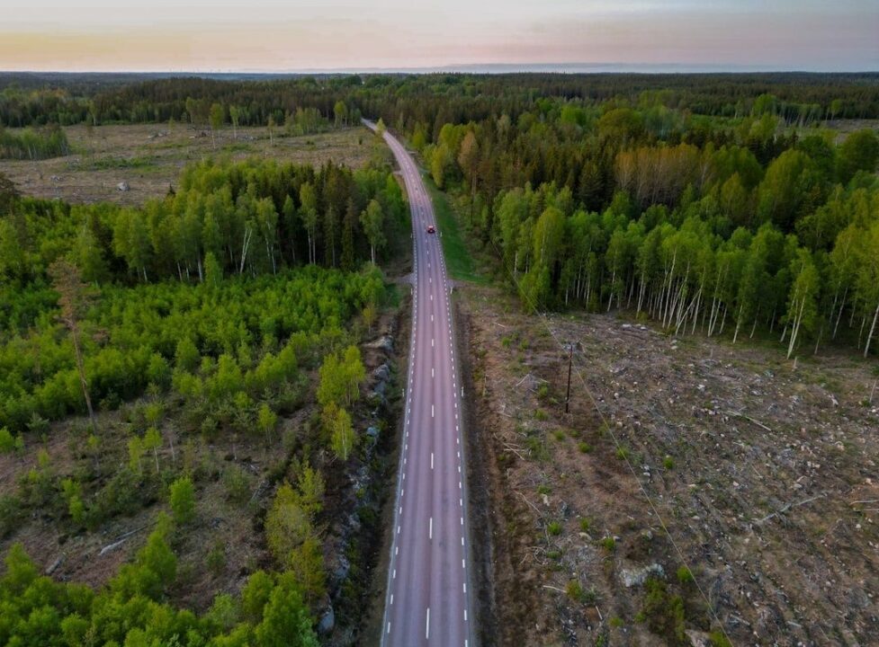 Rak väg genom tät skog och kalhyggen, sedd från luften